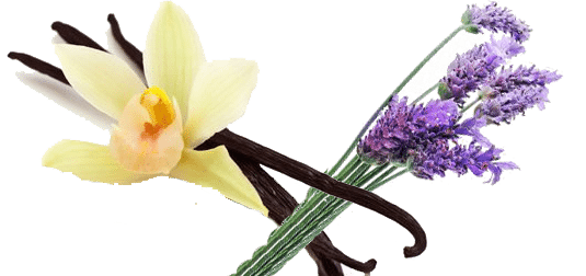 Lavender Vanilla Fragrance Oil