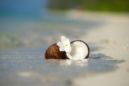 Island Paradise