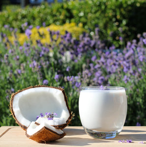 Lavender Coconut