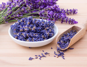 Lavender Fragrance Oil