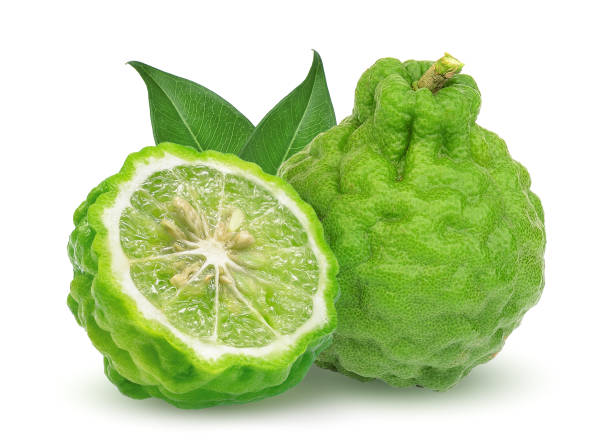 Bergamot