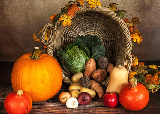 Amish Harvest