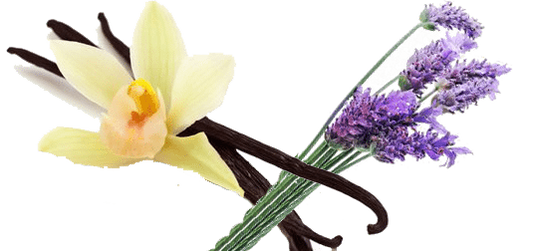 Lavender Vanilla  Fragrance Oil