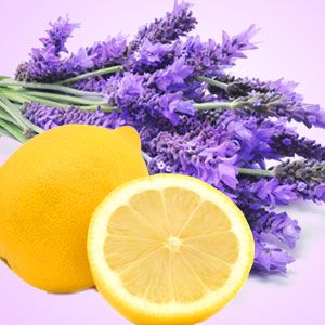 Lemon Lavender Fragrance Oil