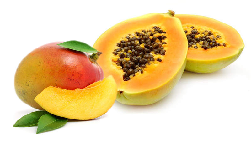 Mango Papaya – Eighth + Moon Candle Co.