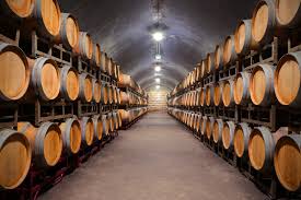 Wine Cellar Type