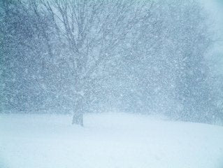 Winter Storm